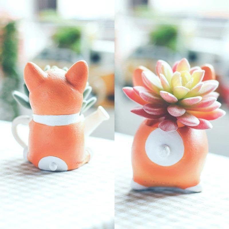 Jardinière succulente Corgi