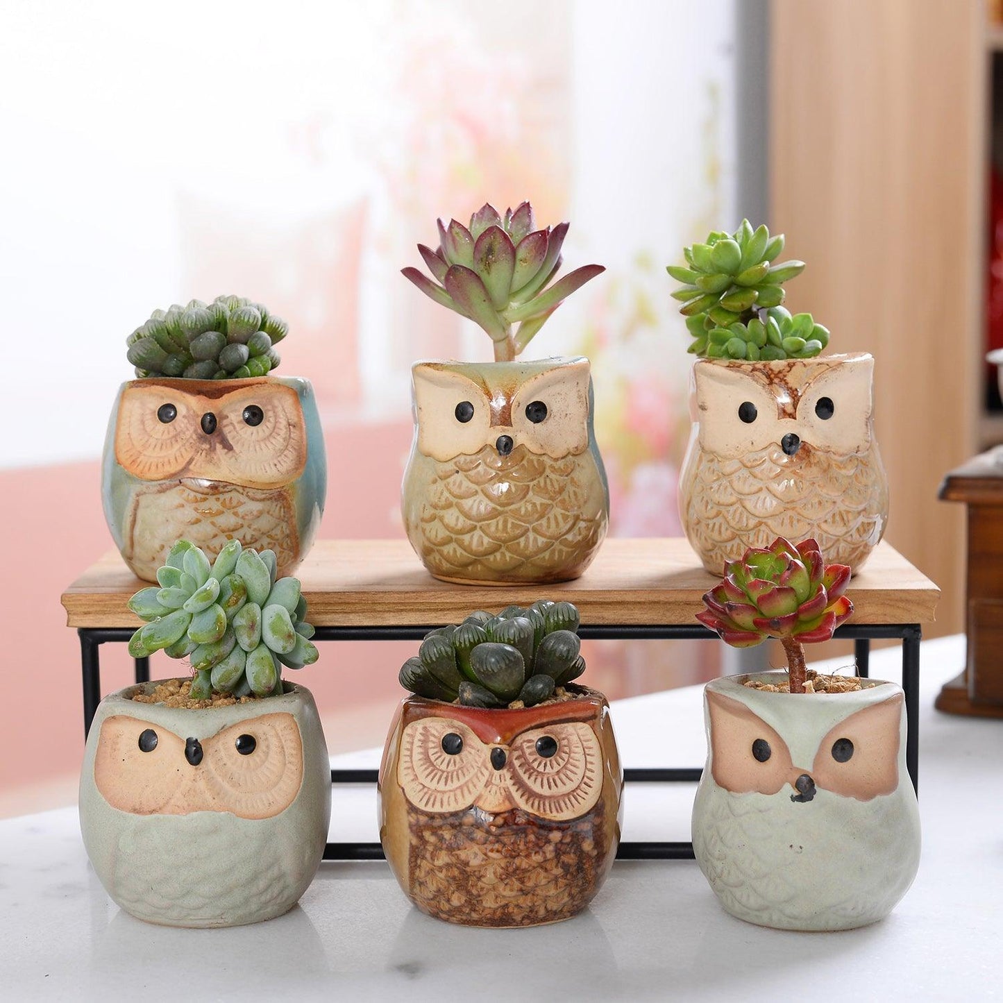 Pots de jardinières succulentes en céramique mini hibou 6 pièces