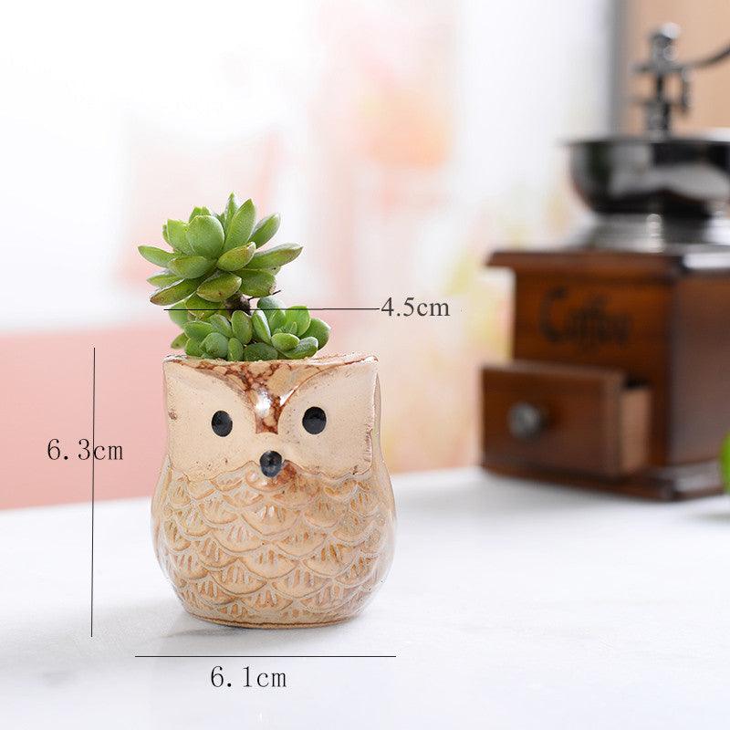 Pots de jardinières succulentes en céramique mini hibou 6 pièces