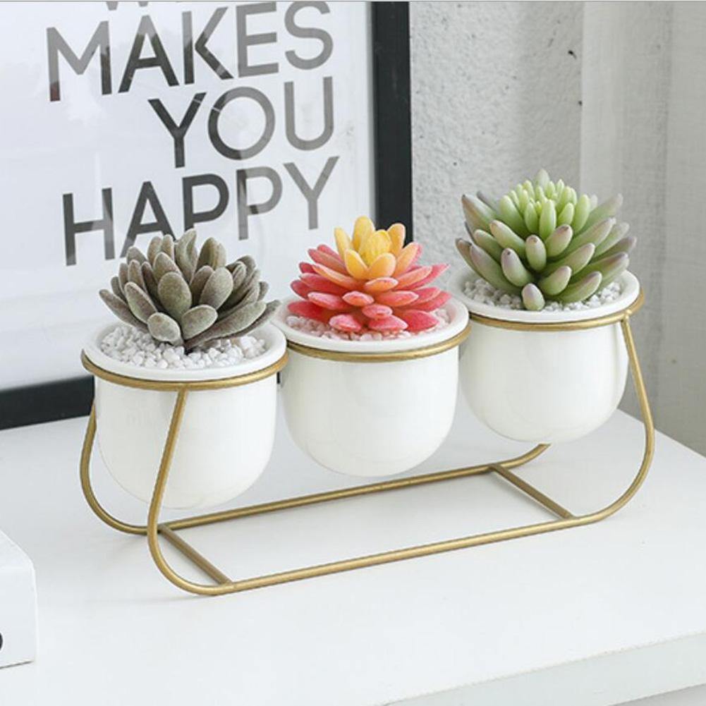 White Ceramic Succulent Planter Trio with Metal Sleigh Stand