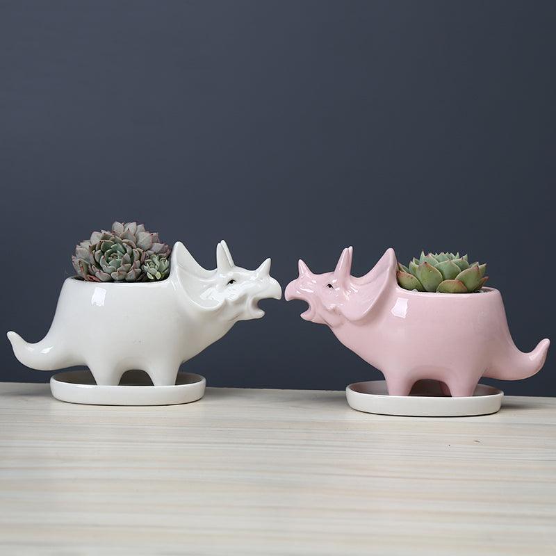 Joli pot de fleurs succulentes en forme de dinosaure avec plateau de drainage