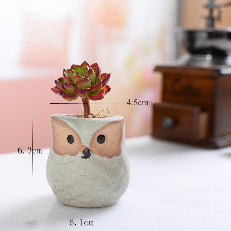 Pots de jardinières succulentes en céramique mini hibou 6 pièces