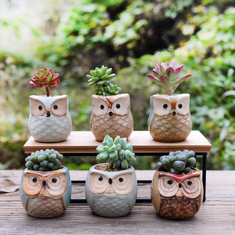 Pots de jardinières succulentes en céramique mini hibou 6 pièces