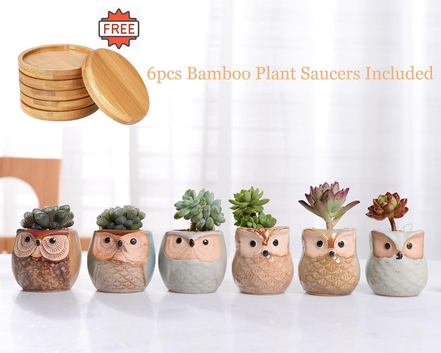 Pots de jardinières succulentes en céramique mini hibou 6 pièces