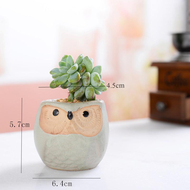 Pots de jardinières succulentes en céramique mini hibou 6 pièces