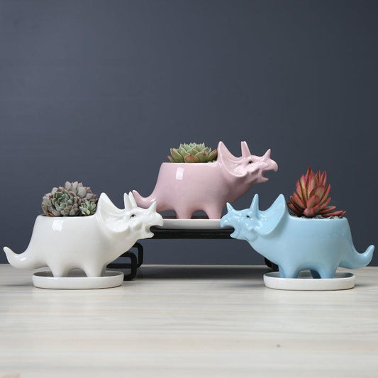 Joli pot de fleurs succulentes en forme de dinosaure avec plateau de drainage