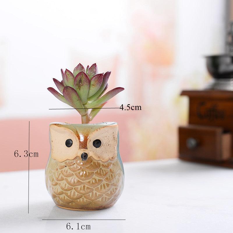 Pots de jardinières succulentes en céramique mini hibou 6 pièces