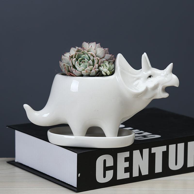 Cute Dinosaur Succulent Planter Pot with Drainage Tray