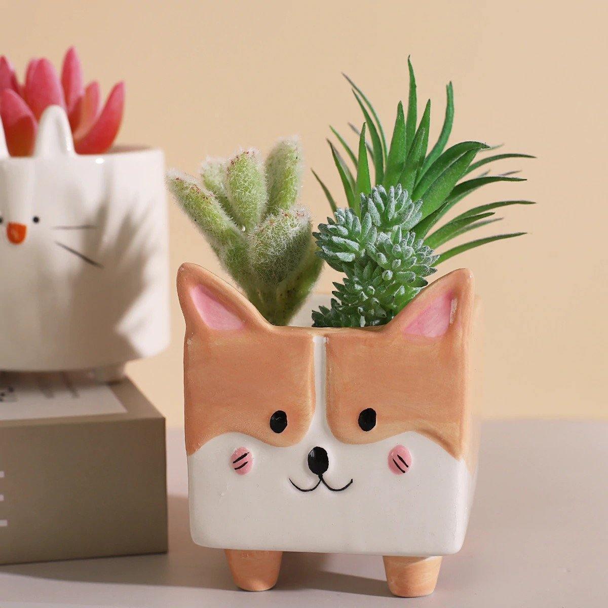 Jardinières succulentes en céramique pour animaux carrés