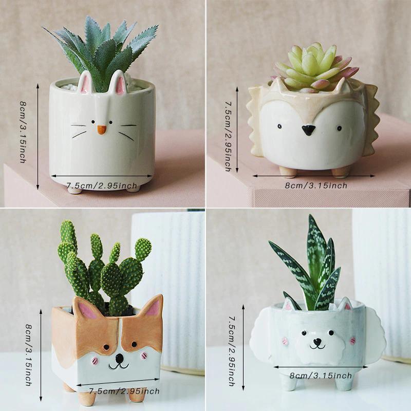 Jardinières succulentes en céramique pour animaux carrés