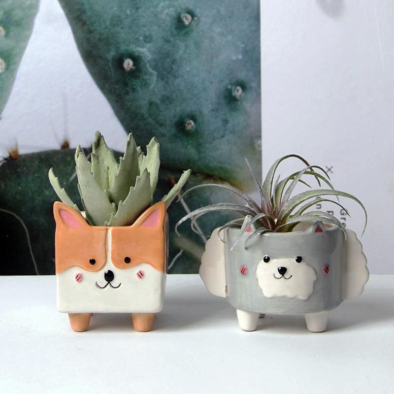 Jardinières succulentes en céramique pour animaux carrés