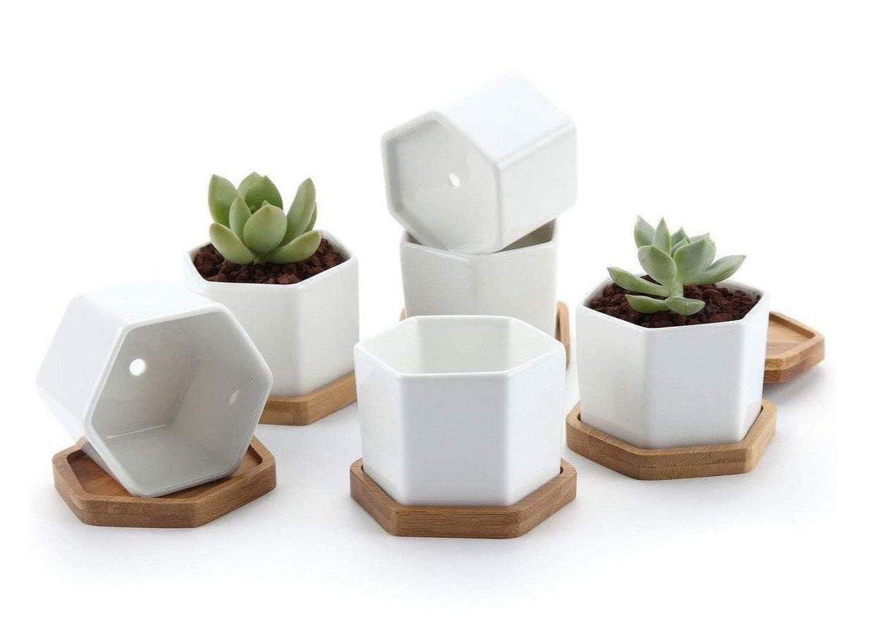 Jardinière succulente en céramique hexagonale avec soucoupe en bambou