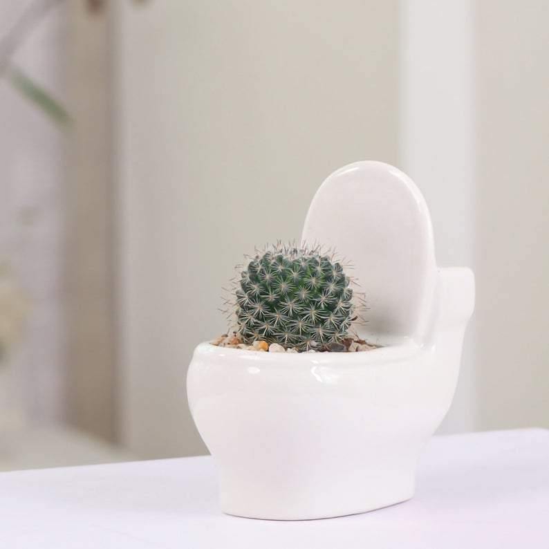 Handmade Ceramic Toilet Succulent Planter