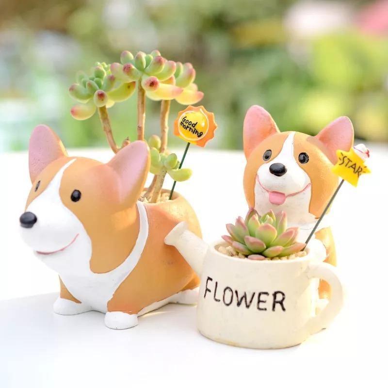 Jardinière succulente Corgi