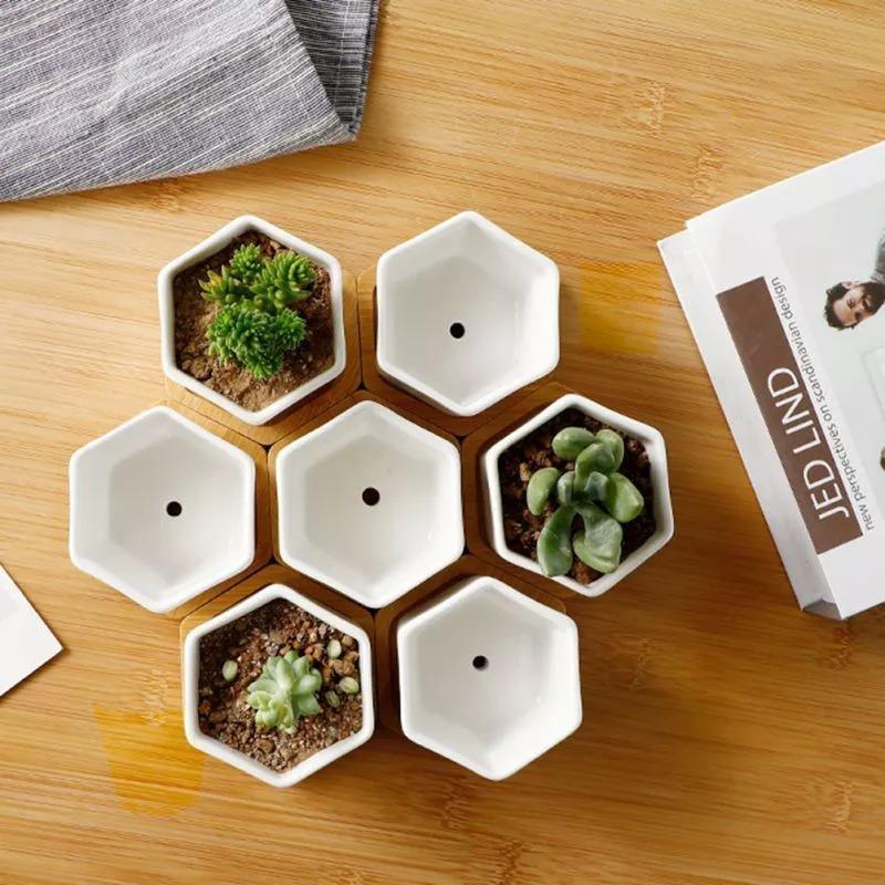 Jardinière succulente en céramique hexagonale avec soucoupe en bambou