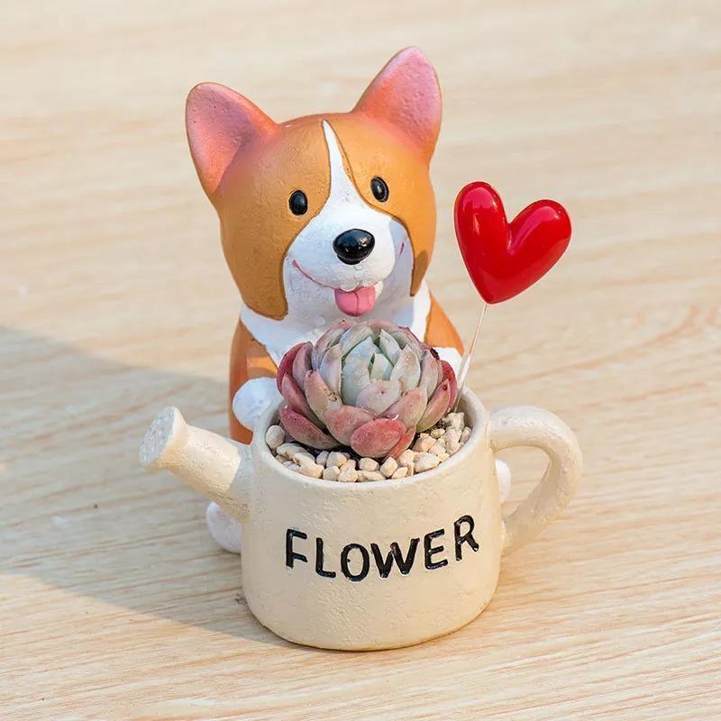 Jardinière succulente Corgi