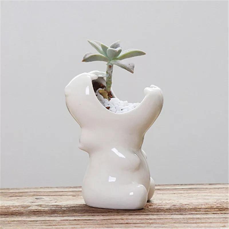 Jardinière succulente en céramique Chomping Hippo