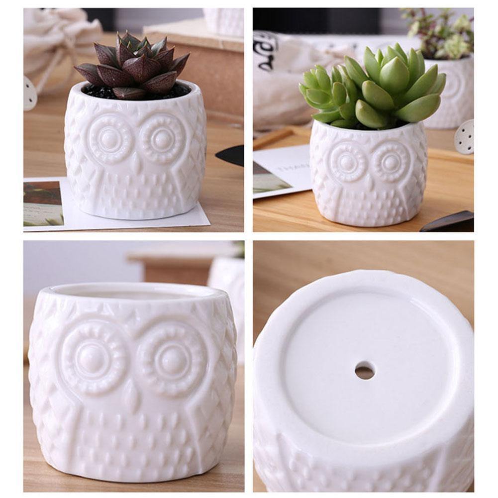 Jardinières succulentes en forme de hibou en céramique à plusieurs niveaux avec étagère en bambou