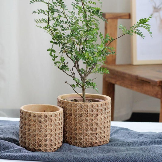 Jardinière en ciment à texture de rotin naturel