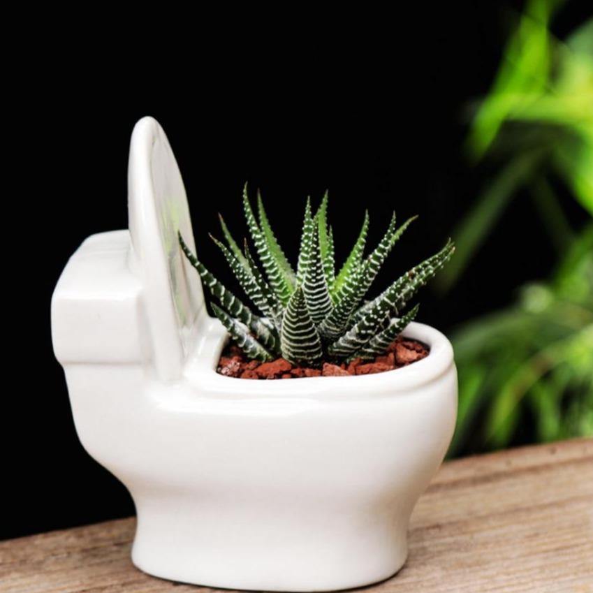 Jardinière succulente de toilette en céramique faite à la main