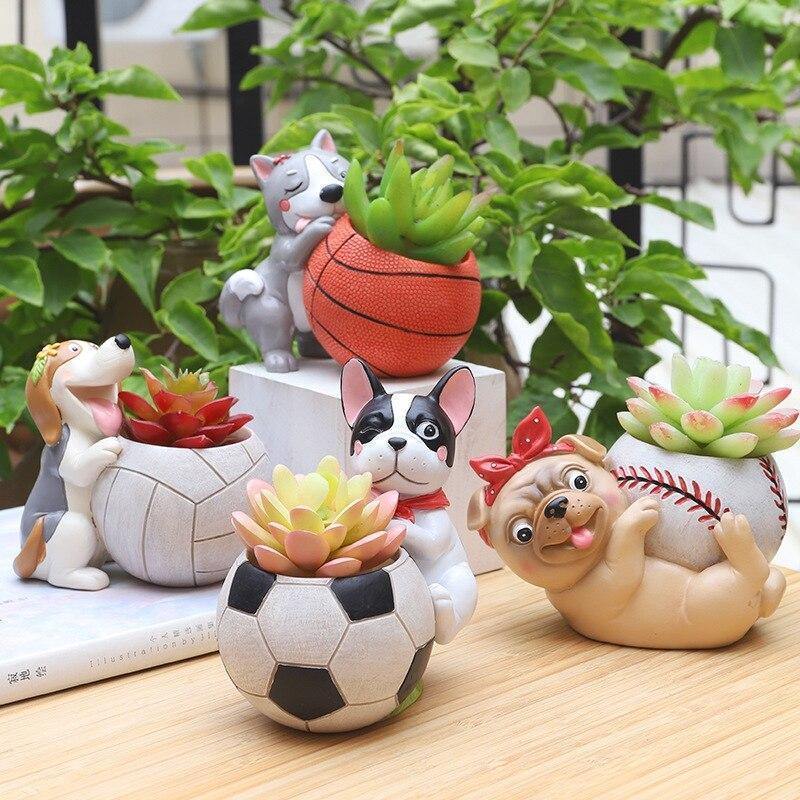 Jardinière succulente pour chien sportif