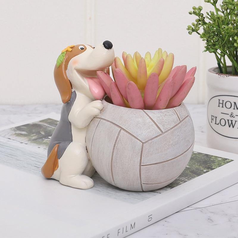 Jardinière succulente pour chien sportif