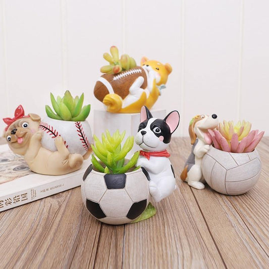 Jardinière succulente pour chien sportif