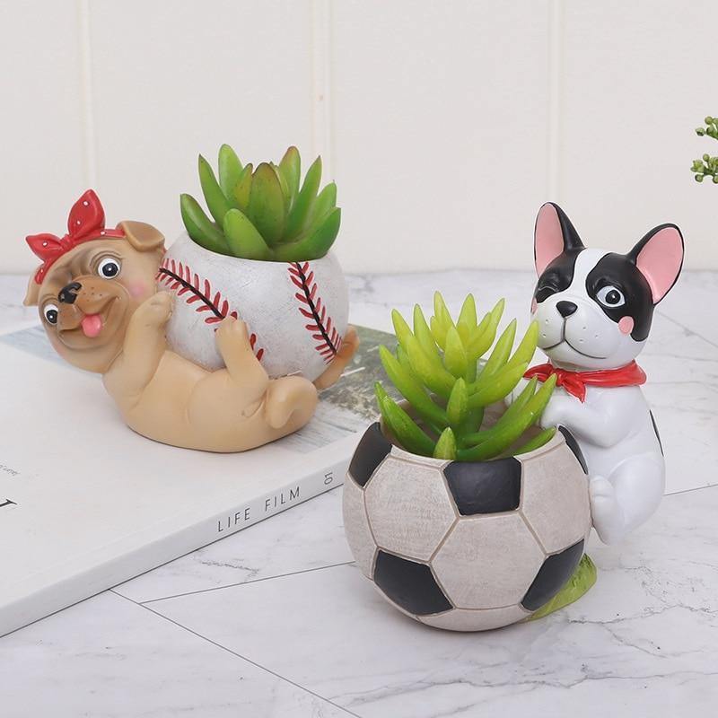 Jardinière succulente pour chien sportif