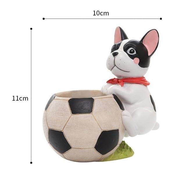 Jardinière succulente pour chien sportif