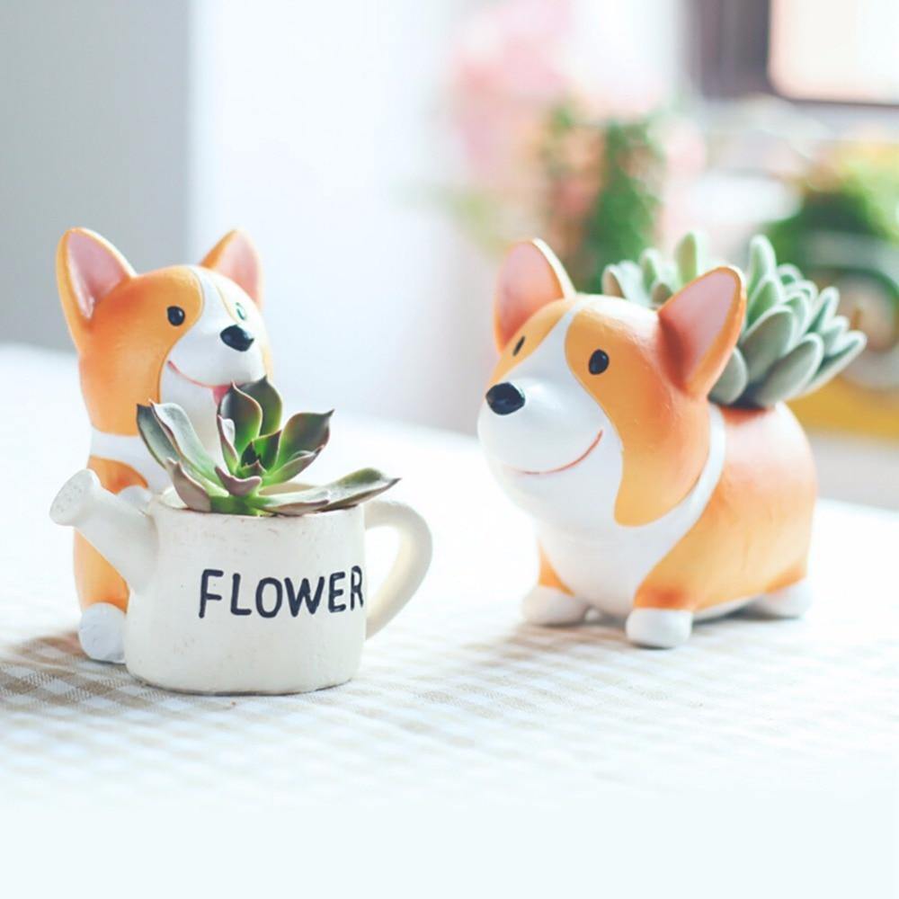 Jardinière succulente Corgi