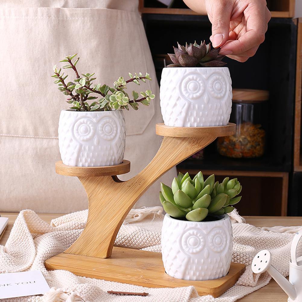 Tiered Ceramic Owl Succulent Planters with Bamboo Shelf