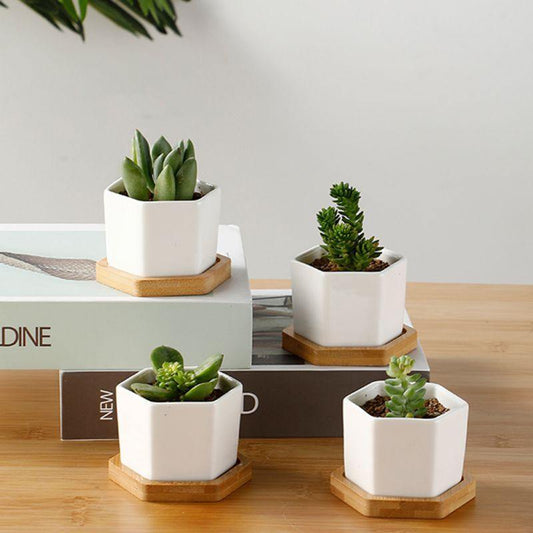 Jardinière succulente en céramique hexagonale avec soucoupe en bambou