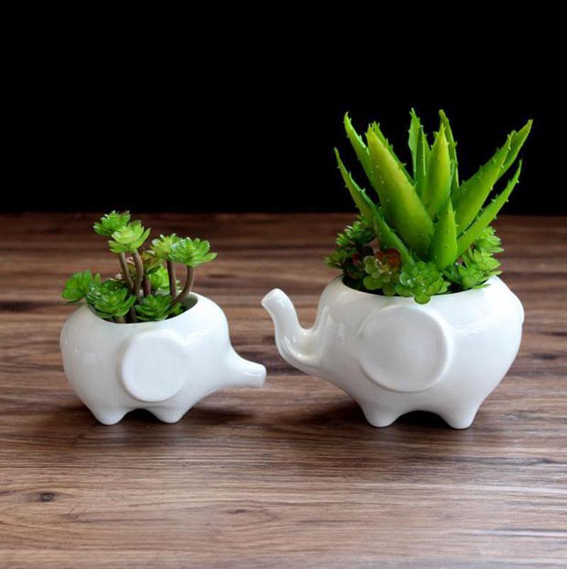 Jardinière succulente éléphant en céramique