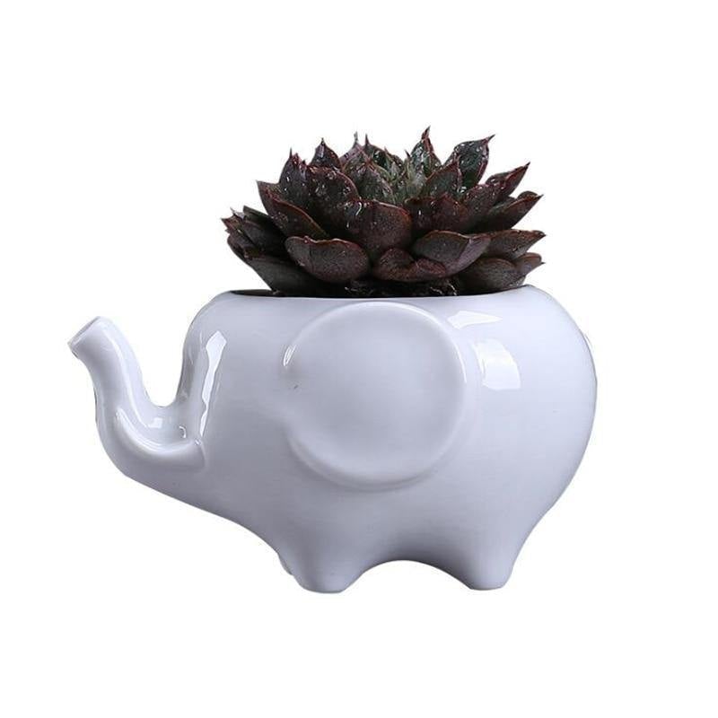 Jardinière succulente éléphant en céramique