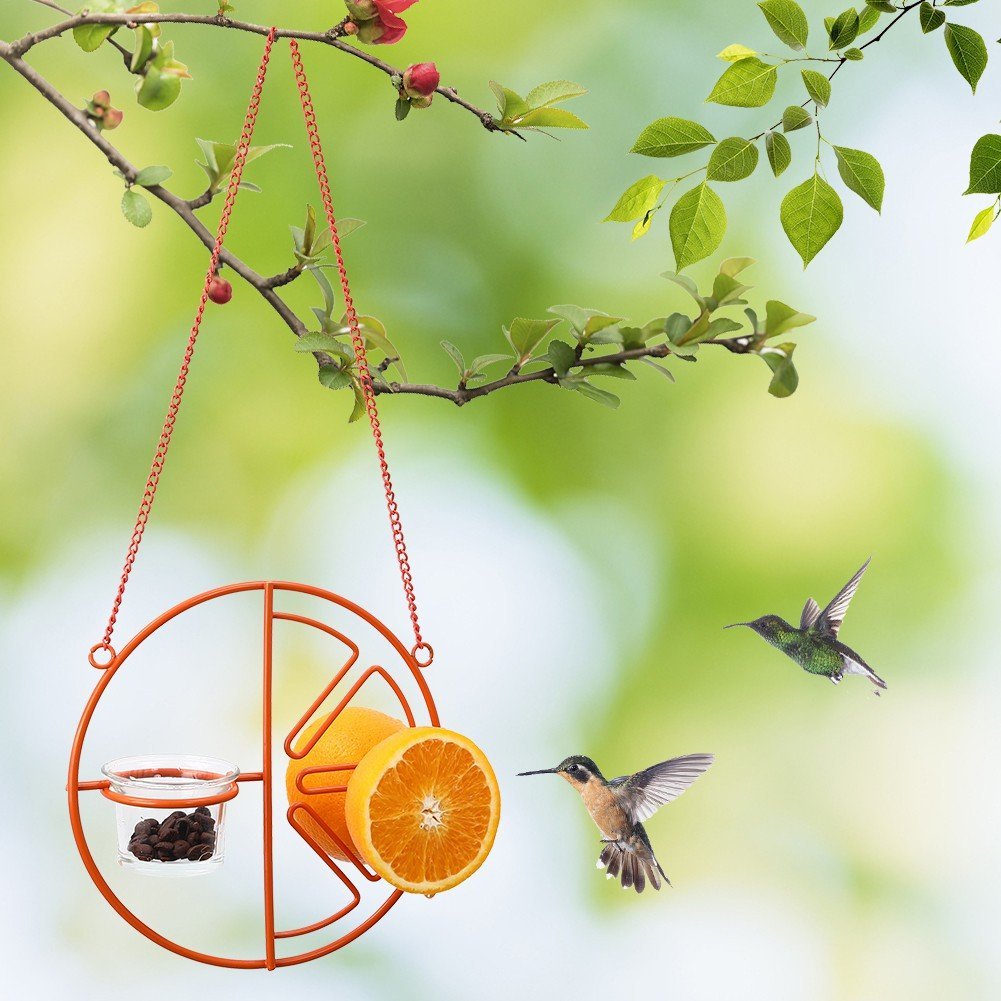 2-in-1 hanging hummingbird oriole feeder