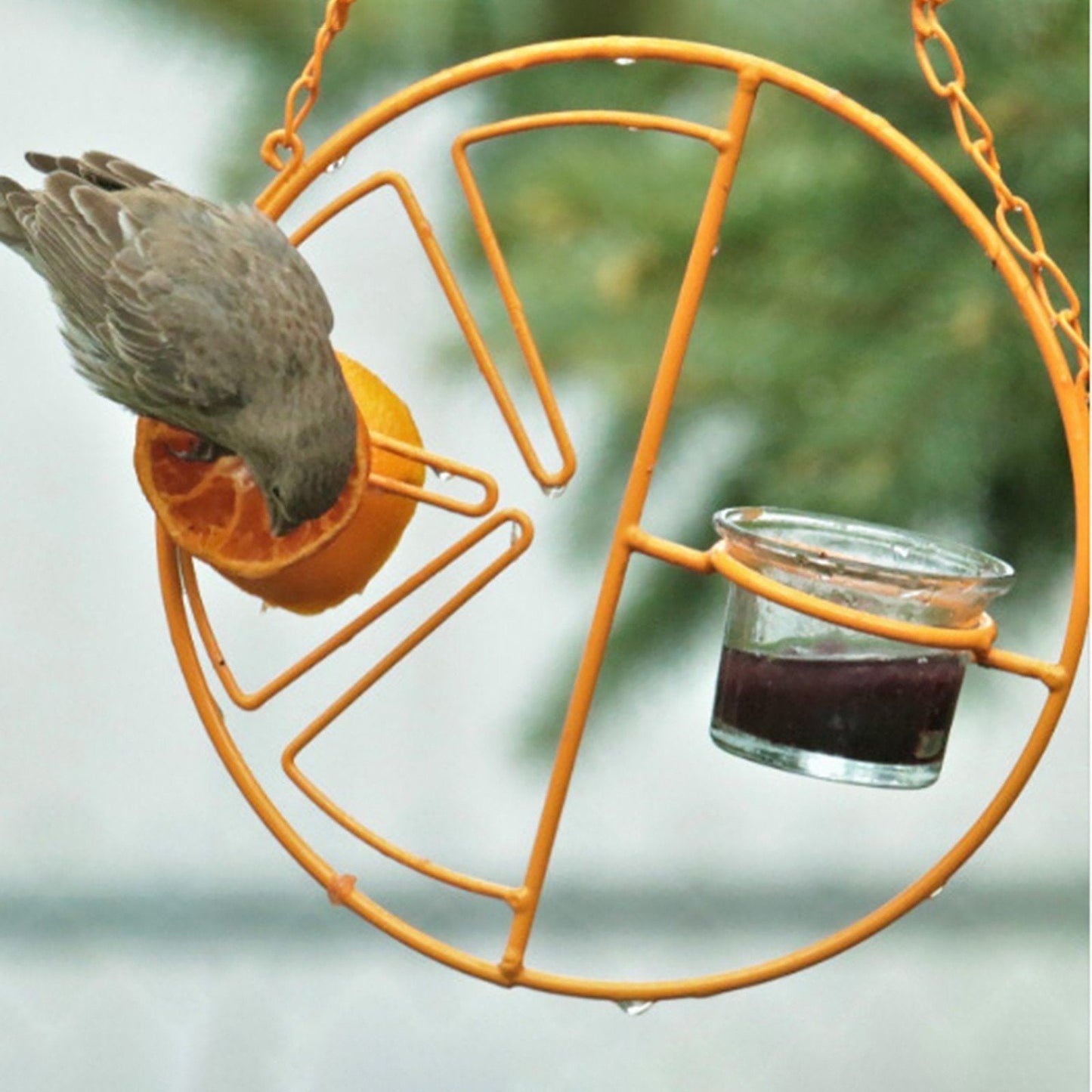 2-in-1 hanging hummingbird oriole feeder